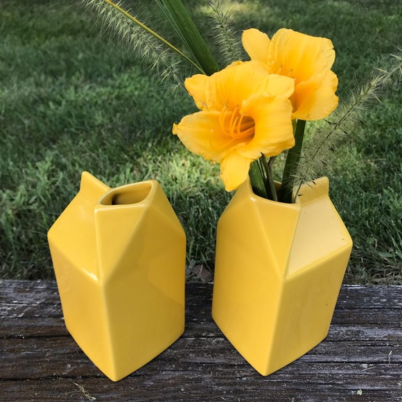 Other - (2) Stoneware milk cartons